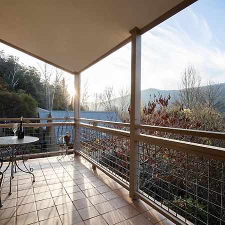 Chestnut Tree Holiday Units Bright Exterior photo